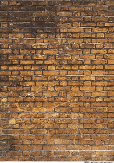 Wall Bricks Damaged