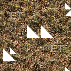 Seamless Grass Frozen