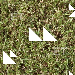 Seamless Grass