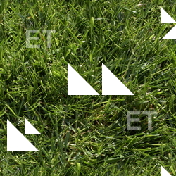 Seamless Grass