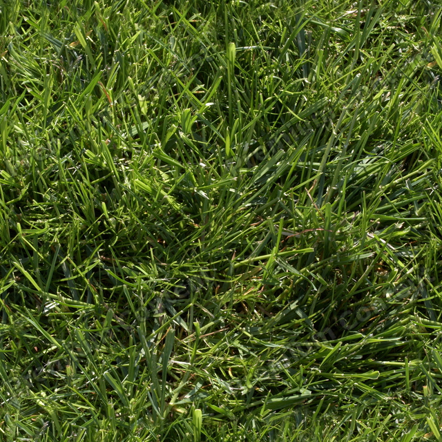 Seamless Grass