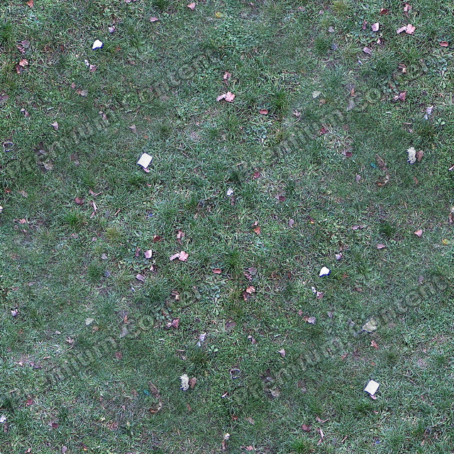 Seamless Grass Frozen