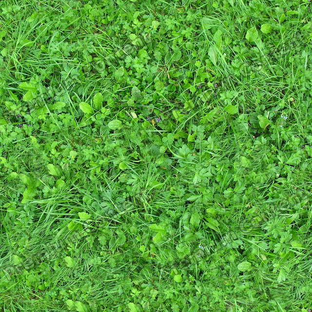 Seamless Grass