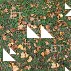 Seamless Ground 0006