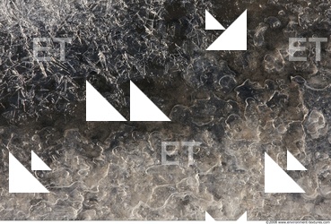 Ice Snow 0022
