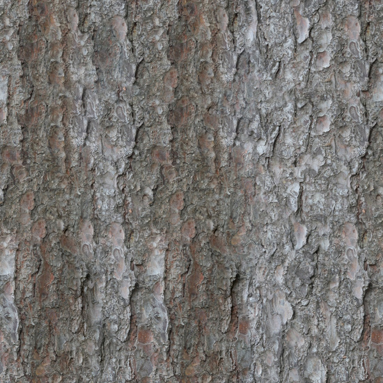 Seamless Tree Bark