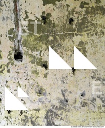 Walls Plaster Damaged