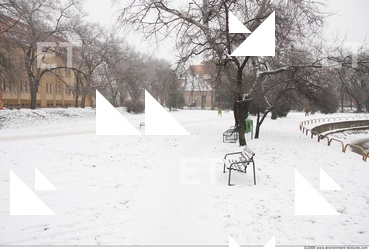 Background Garden 0016