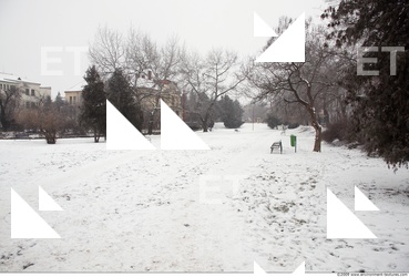 Background Garden 0003