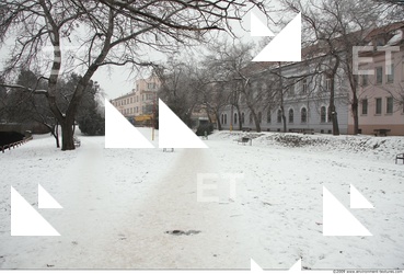 Background Garden 0009