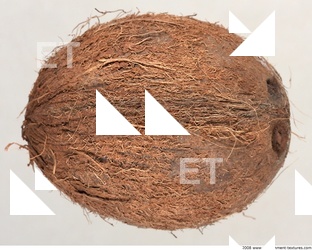 coconut