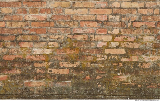 Wall Bricks Damaged