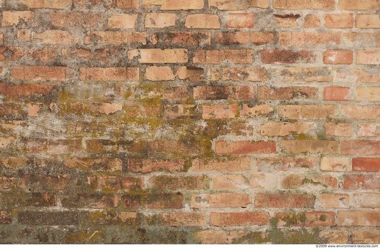 Wall Bricks Damaged