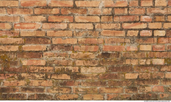 Wall Bricks Damaged