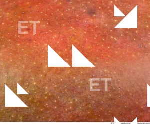 Fruits Vegetables 0016