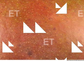 Fruits Vegetables 0017