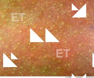 Fruits Vegetables 0010