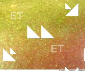 Fruits Vegetables 0011