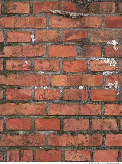 Wall Bricks Damaged