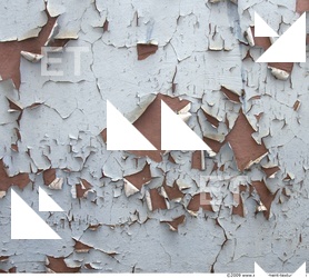 Walls Plaster Damaged