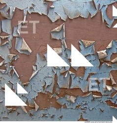 Walls Plaster Damaged