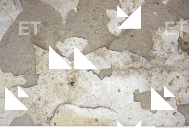 Walls Plaster Damaged