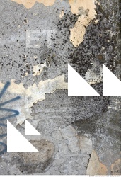 Walls Plaster Damaged