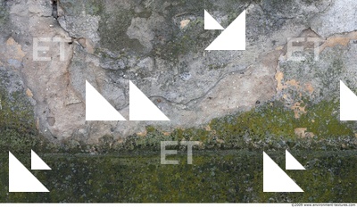 Walls Plaster Damaged