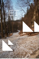 Background Nature 0003