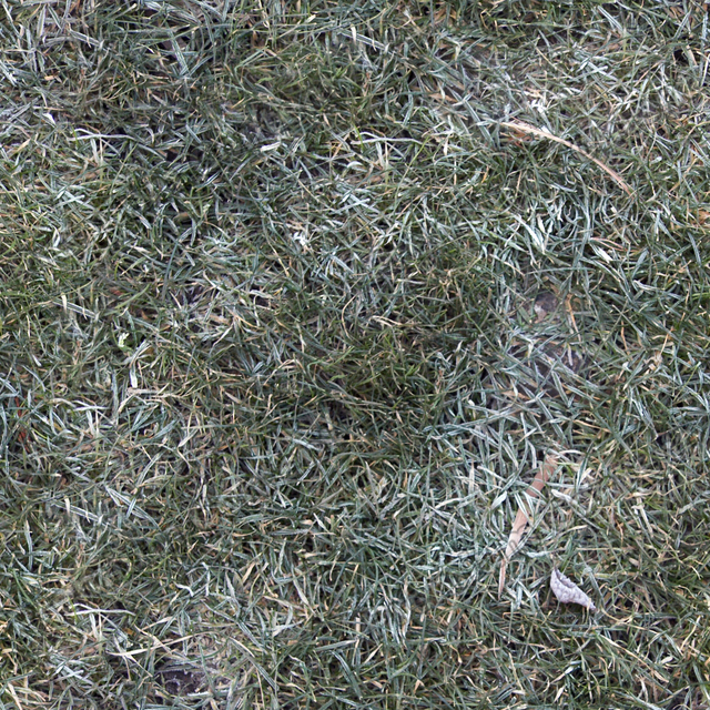 Seamless Grass Frozen