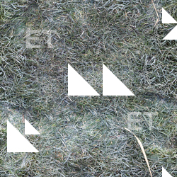 Seamless Grass Frozen