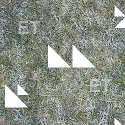 Seamless Grass Frozen