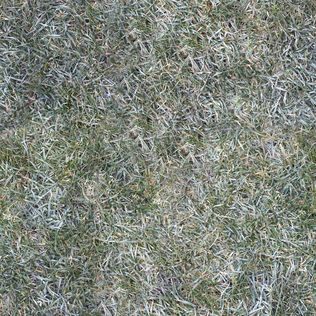 Seamless Grass Frozen