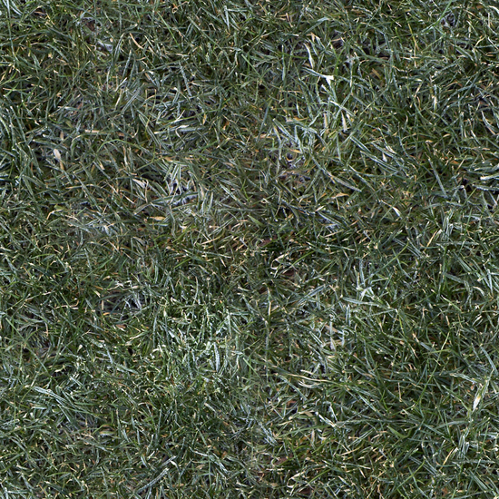 Seamless Grass Frozen