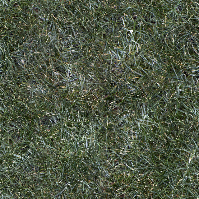 Seamless Grass Frozen