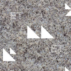 Seamless Ground 0001