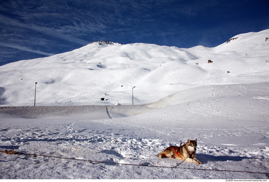 Snowy Mountains