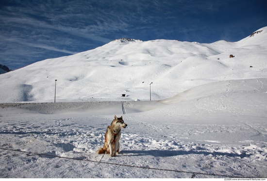 Snowy Mountains