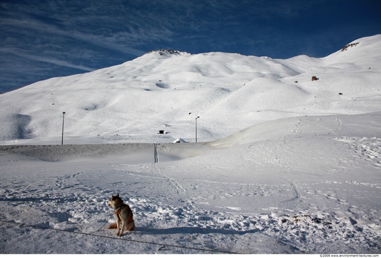 Snowy Mountains