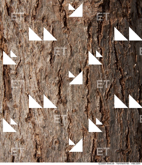 Tree Bark