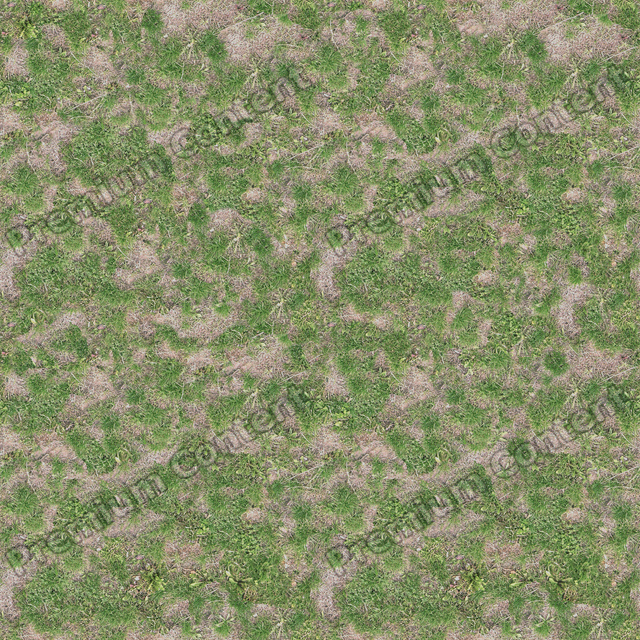 Seamless Grass