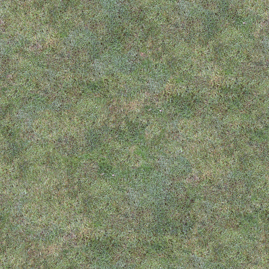 Seamless Grass