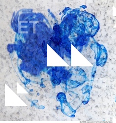 Splatter Difussion 0003