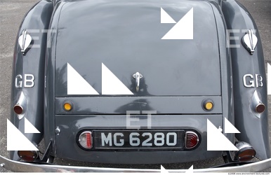 Photo Reference of Veteran