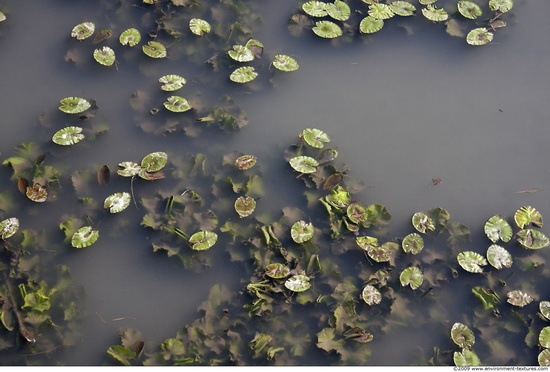 Waterplants