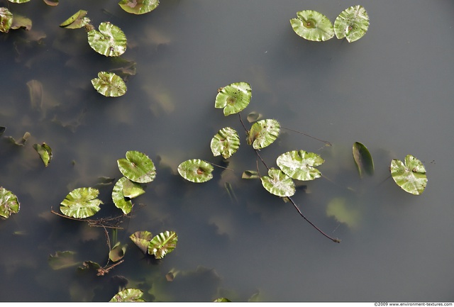 Waterplants