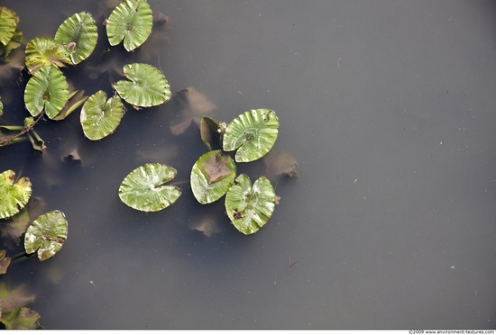 Waterplants