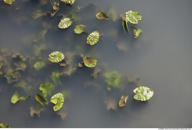 Waterplants