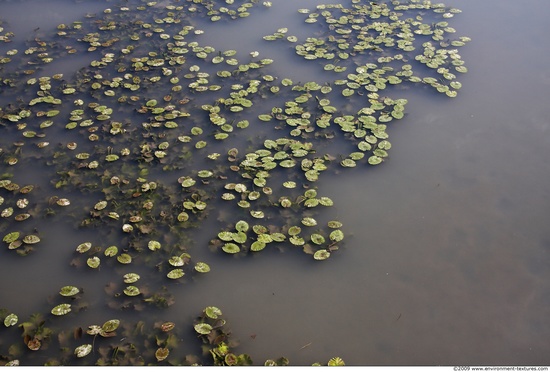 Waterplants