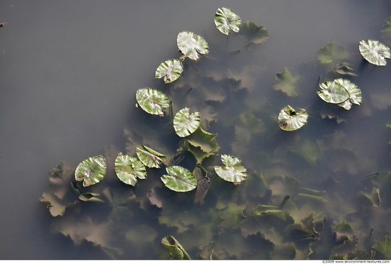 Waterplants